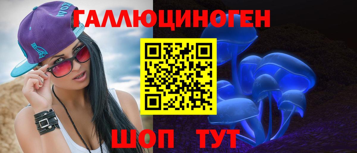 дарнет шоп  Вход с VPN  Саянск  Псилоцибиновые грибы Psilocybe 